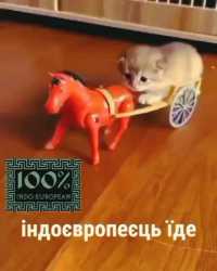 little chariot_thumb.jpg