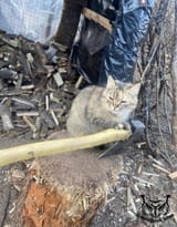 IMG_20250408_023207_896