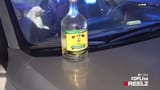 vlcsnap-2025-07-18-20h33m43s598