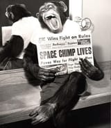 ham-astrochimp