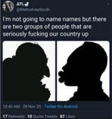 jews and niggers