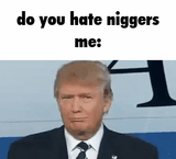 trump_on_niggers