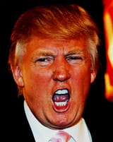 orangetan