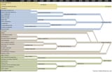 BankConsolidationChartFull