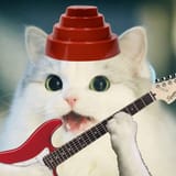 devo niggercat
