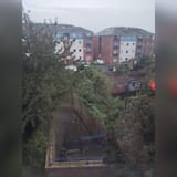 1736948764047322