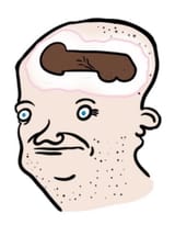 1733642588333621