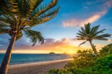 Lanikai-Beach-Sunrise-Palm-Trees-Oahu-Hawaii