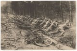 bicycle infantry