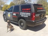 Security Woofer