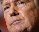 donnie trump russia ww3 nato ukraine big boobs