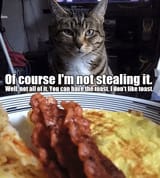 BREAKFASTKOTSTARE02