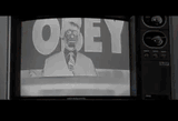 OBEY