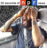 npr