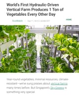 vertical farming Singapore 