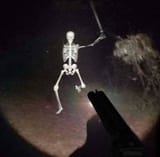 1749020207910392