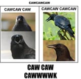 1747491441319