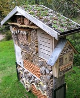 beehotel