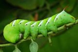 shutterstock_103376177-scaled