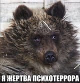 17400837207850