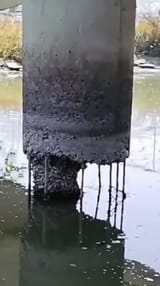1741476386159233
