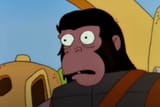 APE