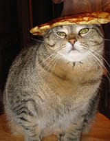 PANCAKEKOT3