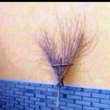 broom