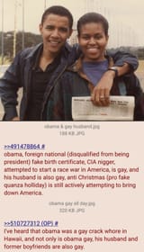 obama gay nigger