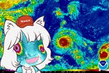 awoo hurricane