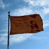gay flag