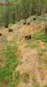 A Russian man films a burial site near Moscow for heroes of the so-called special military operation. He’s surprised they were buried 19-07-2025 HD GRAVES CHUG_thumb.jpg