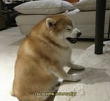 1744297690123953