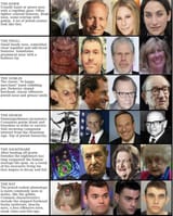 phenotypes