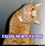 excuse_me