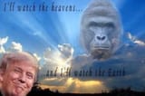 Magaagain