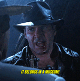 it-belongs-in-a-museum-indiana-jones