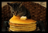 STACKOPANCAKEKOT