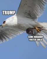 trump foster child