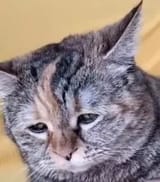 sad