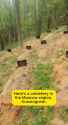 comfy cemetery in the woods_thumb.jpg