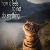 How it feels not to do anything