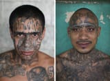 ms13