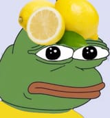 1738991904590006