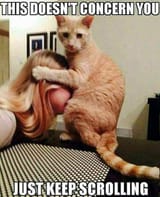 this-doesnt-concern-you-cat