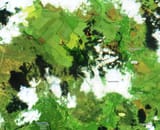 Screenshot from 2025-07-19 11-07-17