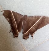 IMG-20220928-WA0001
