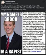 brock turner rapist