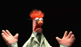 FuckingMuppet