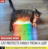 Kot blocks fag laser